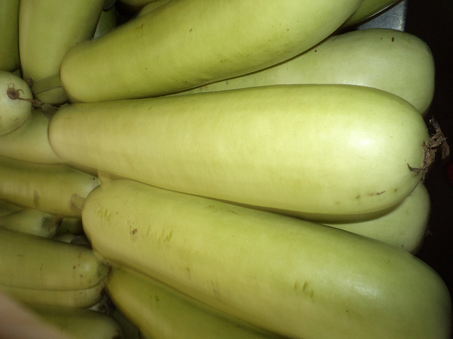 Bottle Gourd The Toxin And Stone Remover